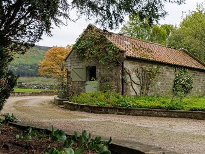 Picture 20